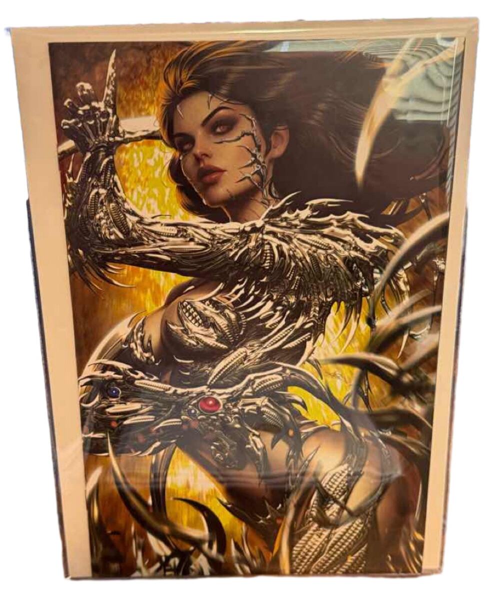Witchblade Ariel Diaz Cover Virgin Variant Image Comics 25th Anniversary